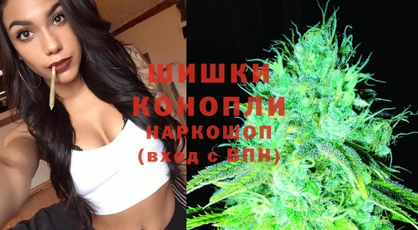 spice Богданович