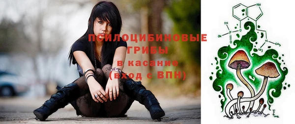 spice Богданович