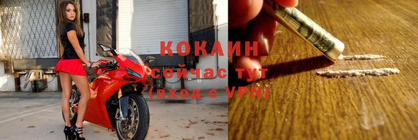 spice Богданович