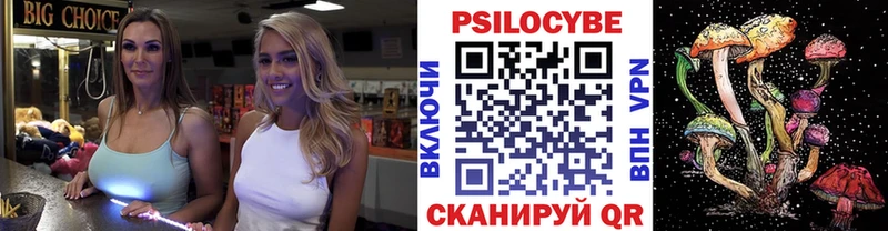 mega Воронеж Псилоцибиновые грибы Psilocybine cubensis